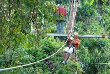 Corcovado Canopy